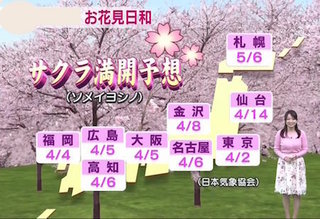 VSOP 4月1日 用 サクラ 開花 .jpg